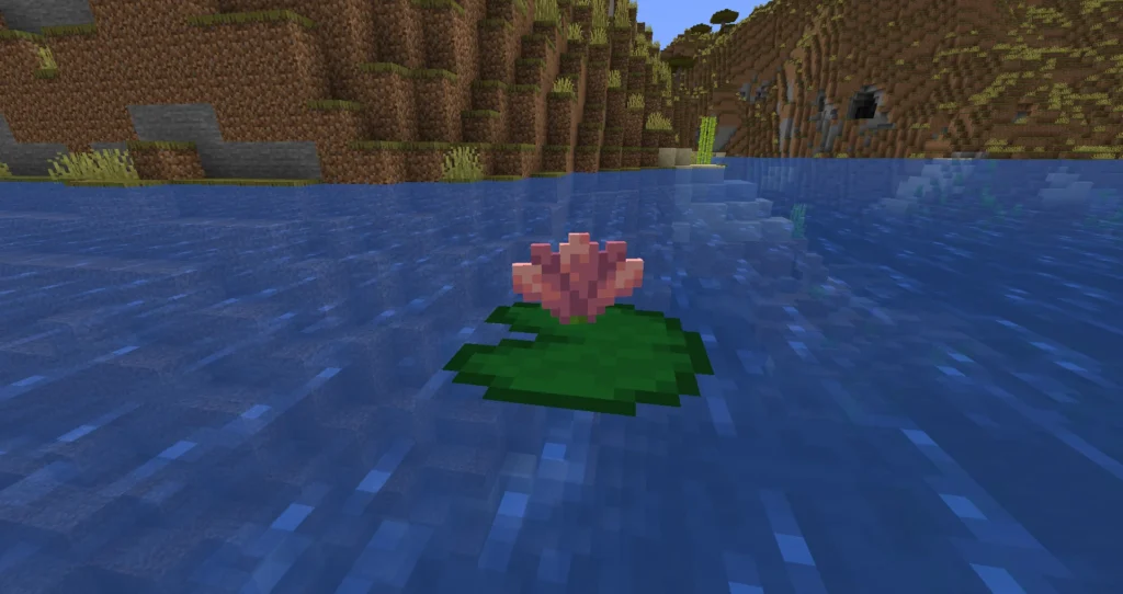 Onde encontrar flor de cacto no Minecraft