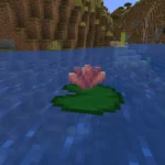 Onde encontrar flor de cacto no Minecraft