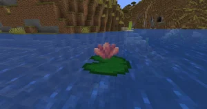 Onde encontrar flor de cacto no Minecraft