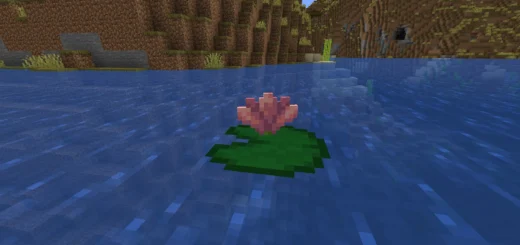 Onde encontrar flor de cacto no Minecraft