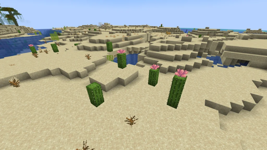 Posso plantar a flor de cacto no Minecraft Posso plantar a flor de cacto no Minecraft