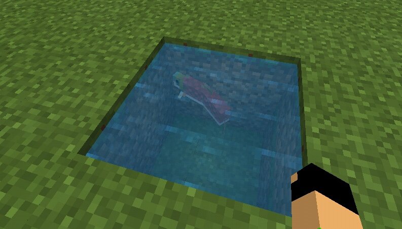 O que os peixes tropicais dropam no Minecraft O que os peixes tropicais dropam no Minecraft