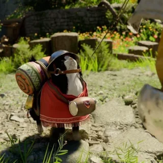 크림슨 사막의 반려동물