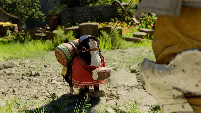 Aprenda a conseguir pets em Crimson Desert