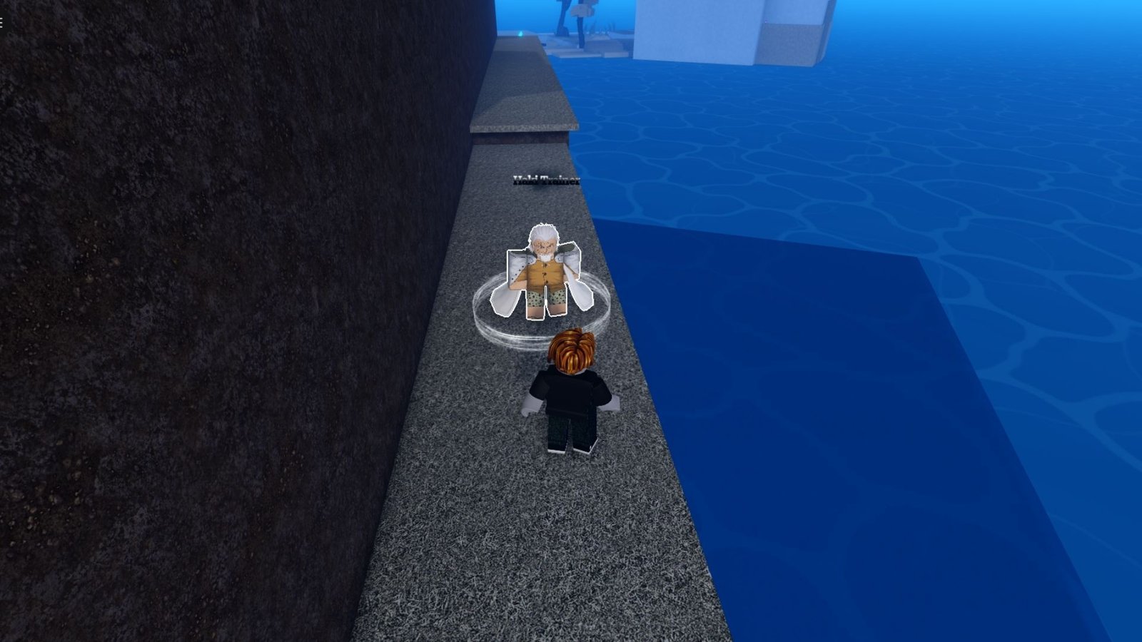 Todos os estilos de combate de Sailor Piece